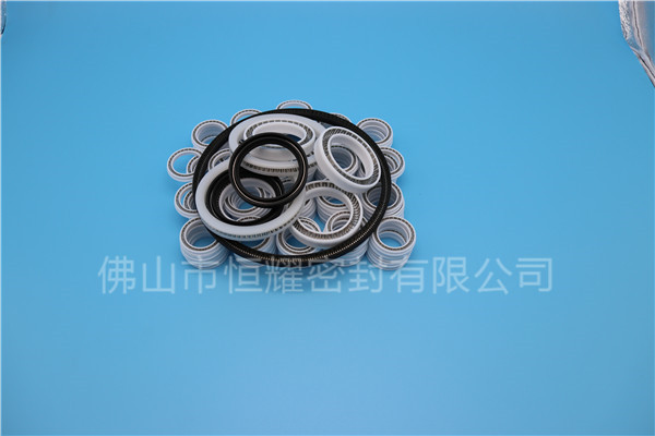 HOB、HVB孔用泛塞封 (6)