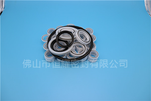 HOB、HVB孔用泛塞封 (7)