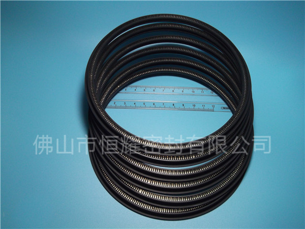 HOD、HVD旋轉(zhuǎn)泛塞封 (12)