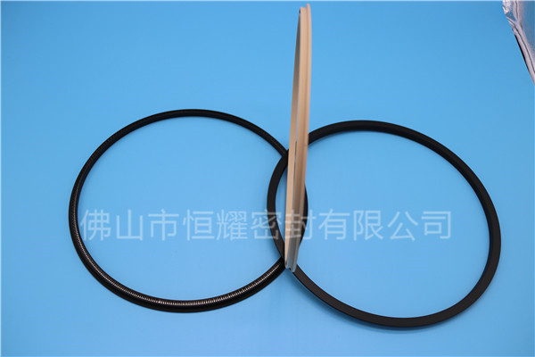 HOD、HVD旋轉(zhuǎn)泛塞封 (18)