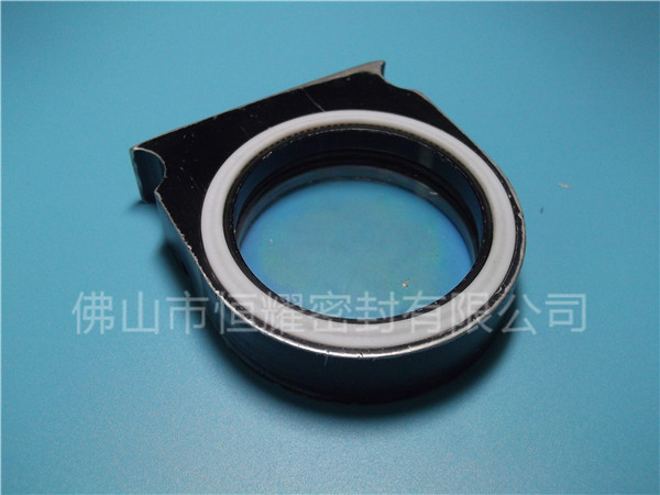 HVF、HVG端面內(nèi)、外向泛塞封 (2)
