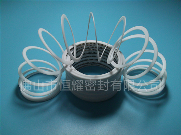 HVF、HVG端面內(nèi)、外向泛塞封 (7)