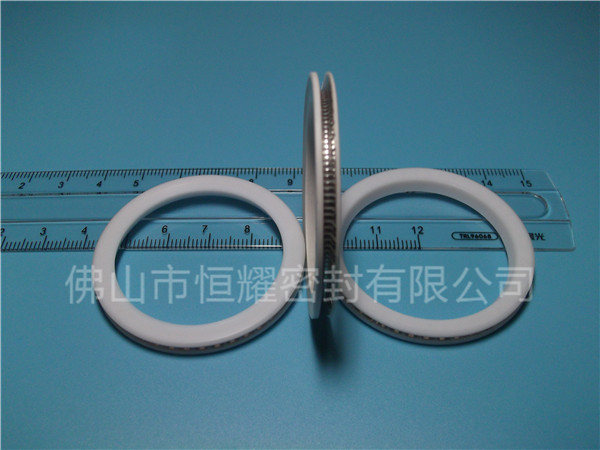 HVF、HVG端面內(nèi)、外向泛塞封 (10)