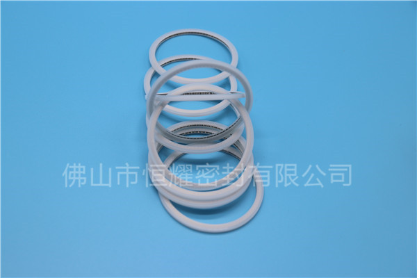 HVF、HVG端面內(nèi)、外向泛塞封 (15)