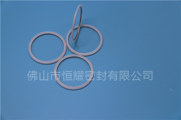 HVF、HVG端面內(nèi)、外向泛塞封 (20)