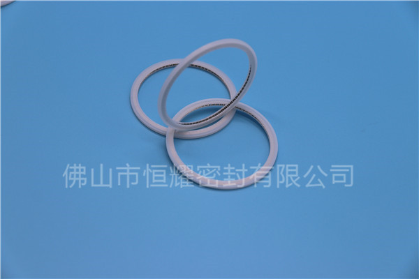 HVF、HVG端面內(nèi)、外向泛塞封 (21)