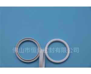 HOA、HVA軸用泛塞封 (16)