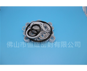 HOB、HVB孔用泛塞封 (6)