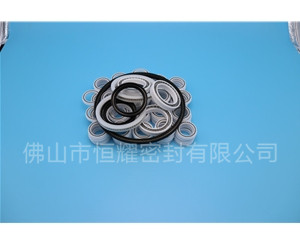 HOB、HVB孔用泛塞封 (7)