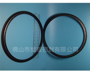 HOD、HVD旋轉(zhuǎn)泛塞封 (13)