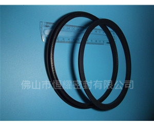 HOD、HVD旋轉(zhuǎn)泛塞封 (15)