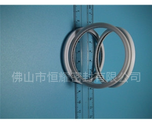 HVF、HVG端面內(nèi)、外向泛塞封 (6)