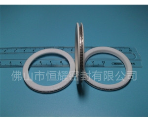 HVF、HVG端面內(nèi)、外向泛塞封 (10)