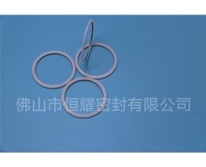 HVF、HVG端面內(nèi)、外向泛塞封 (20)