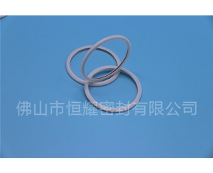 HVF、HVG端面內(nèi)、外向泛塞封 (21)